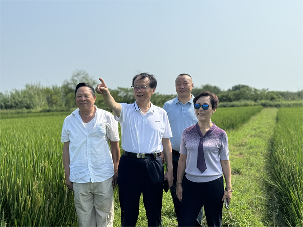 1725715032738051.png 圖片6.png