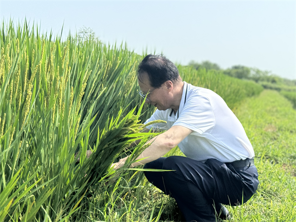 1725715128343531.png 圖片3.png