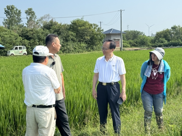 1725715235381177.jpg 圖片8_副本.jpg