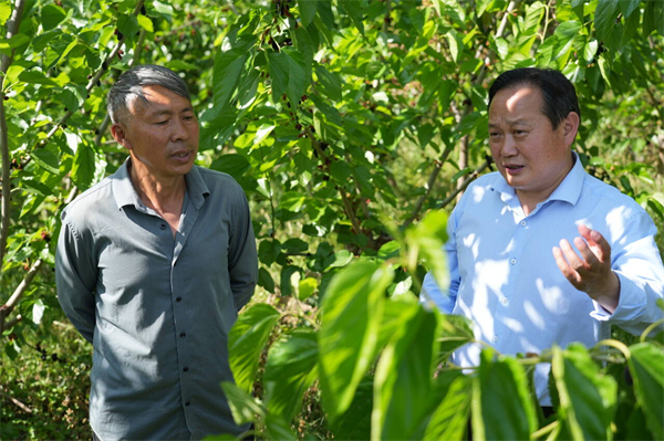 1745461743111919.jpg 圖片10.jpg