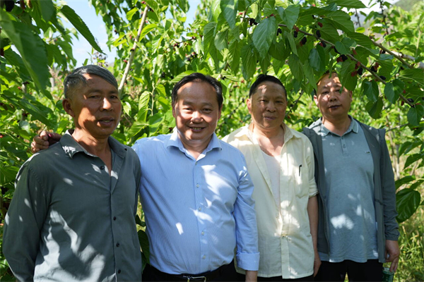 1745461747342478.jpg 圖片11.jpg