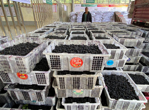 1745472883656369.jpg 3.jpg